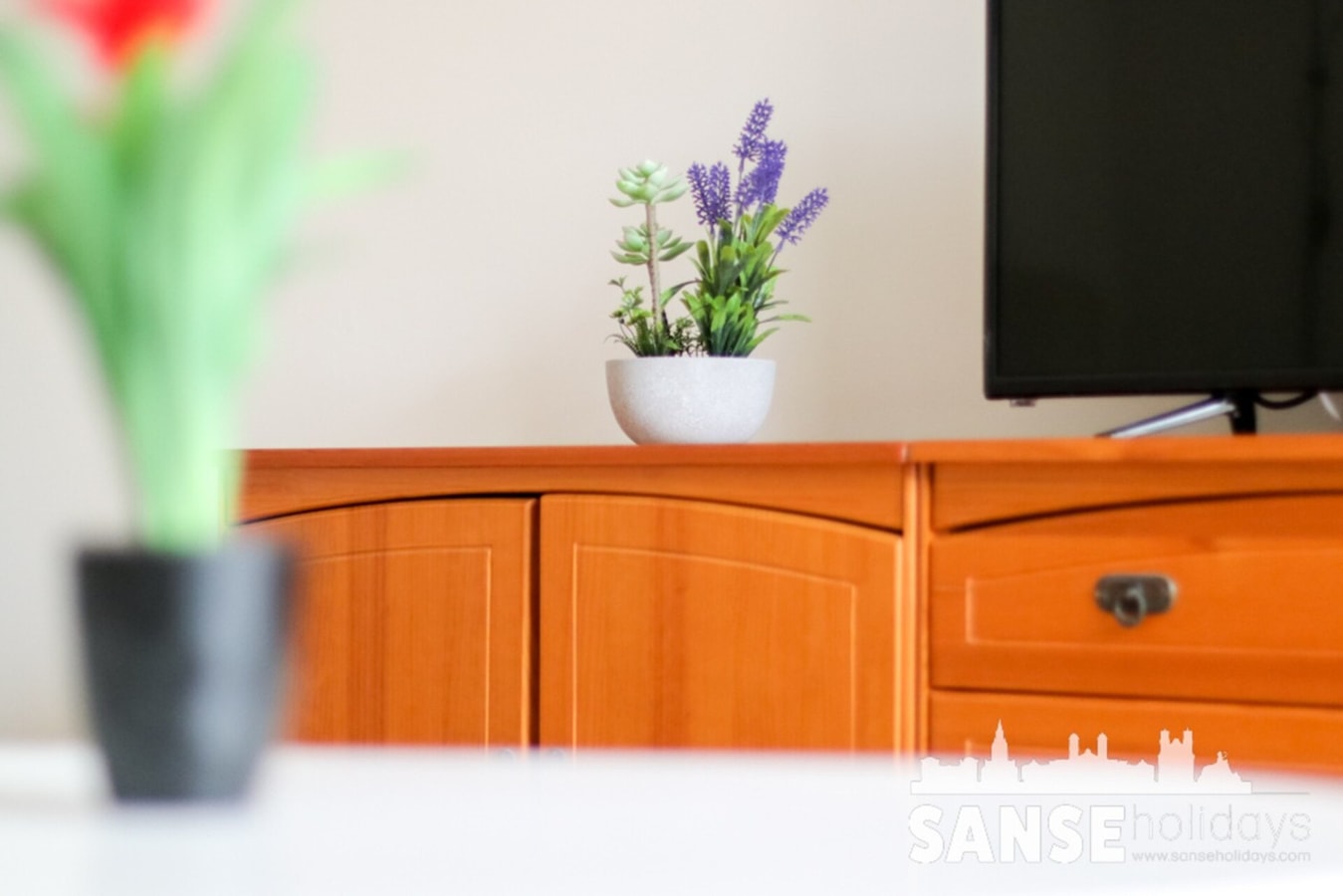 Colón Apartment by SanSe Holidays 12 Sanse Holidays - Tourist apartments in San Sebastián