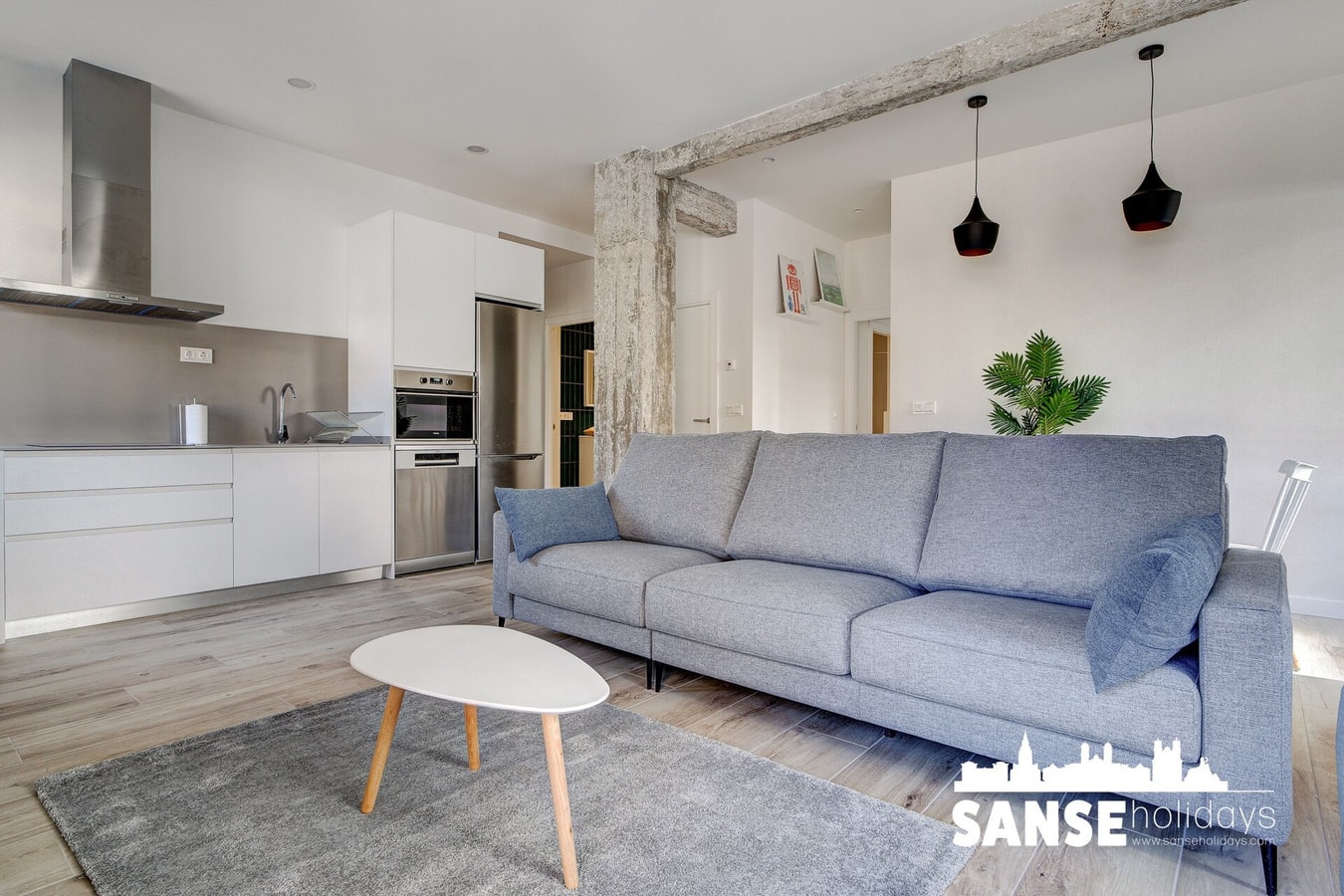 Gran Vía Enara by SanSe Holidays 9 Sanse Holidays - Holiday apartments in San Sebastian