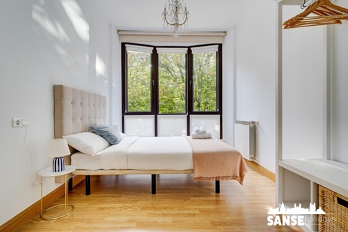 Appartement Kortazar by SanSe Holidays 0 Sanse Holidays - Appartements de vacances à Saint-Sébastien