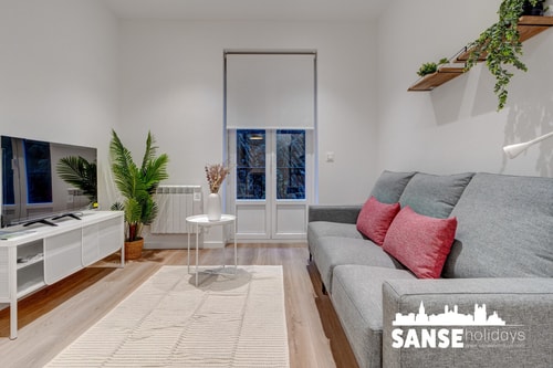 Salud Aralar by SanSe Holidays 13 Sanse Holidays - Apartamentos turísticos en San Sebastián