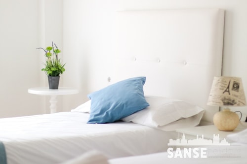 Colón Apartment by SanSe Holidays 3 Sanse Holidays - Appartements de vacances à Saint-Sébastien