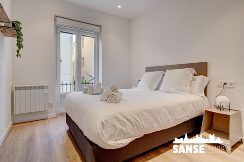 Salud Adarra by SanSe Holidays 23 Sanse Holidays - Apartamentos turísticos en San Sebastián