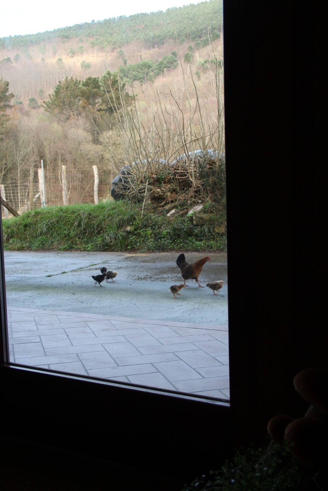 Apartamento rural Mende 19 Sanse Holidays - Alojamiento en San Sebastián