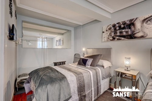 Edificio histórico, céntrico, cerca todo; playa. 50 Sanse Holidays - Apartamentos tur&iacute;sticos en San Sebasti&aacute;n