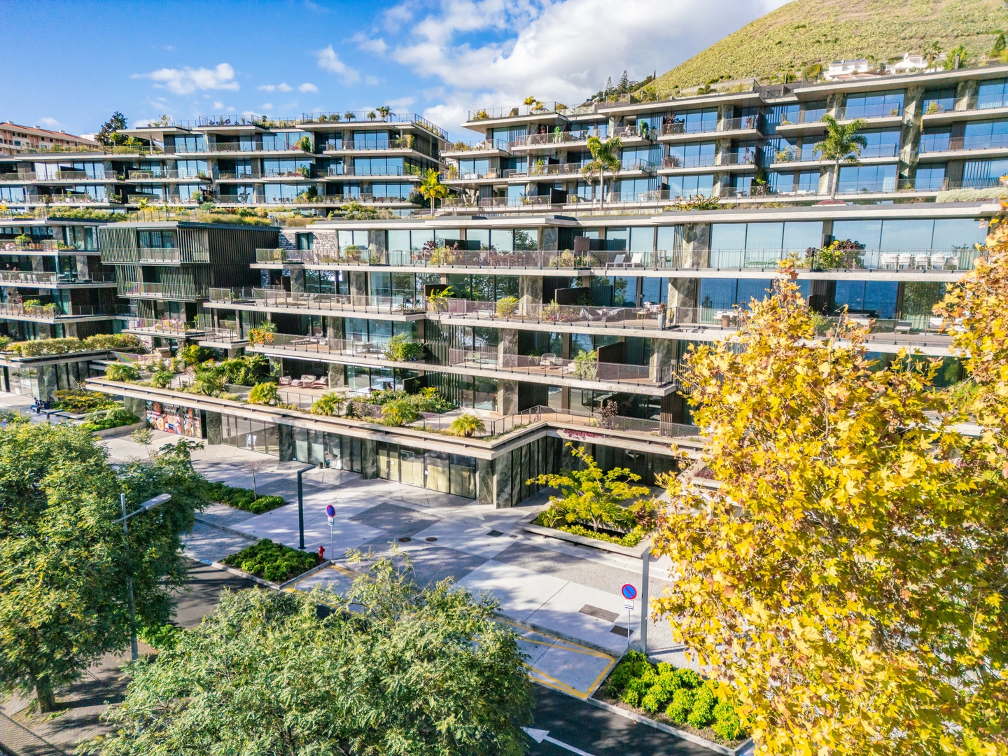 III - Savoy Monumentalis — 4