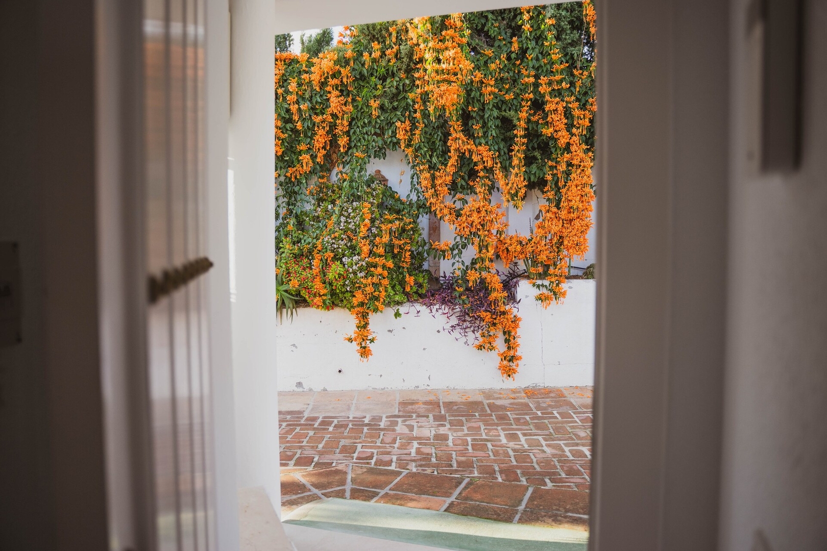 Rosa Blanca- private heated pool, views 60 LYX homes
