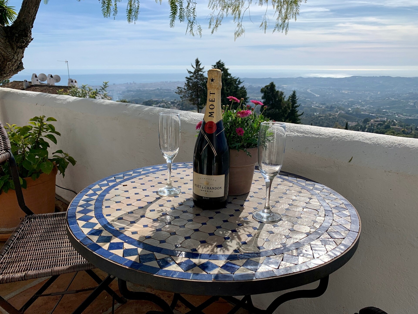 CASA FLORES 44 LYX homes