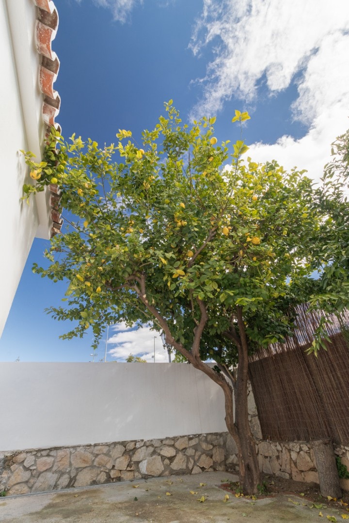 Casa Azul Sereno con piscina y jardín 82 LYX homes