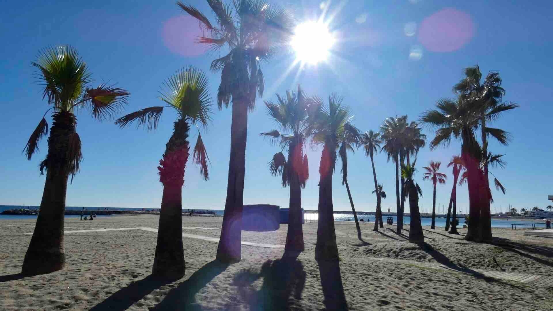 Stella - First line Penthouse with private parking 13 LYX homes