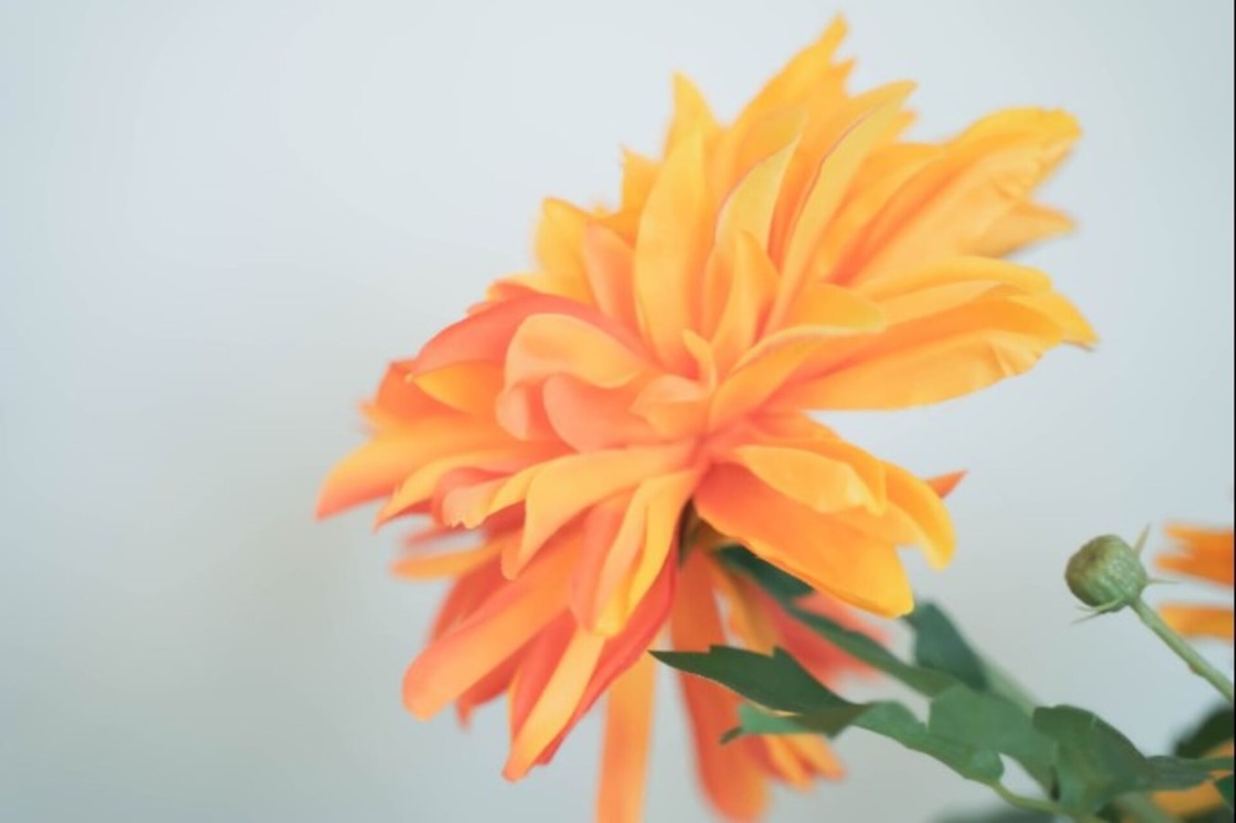 Azul & Blanco - Escapada Ideal 37 LYX homes