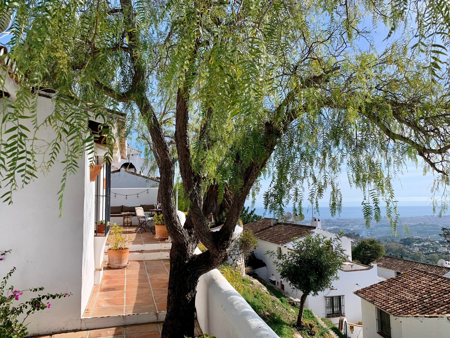 CASA FLORES 50 LYX homes