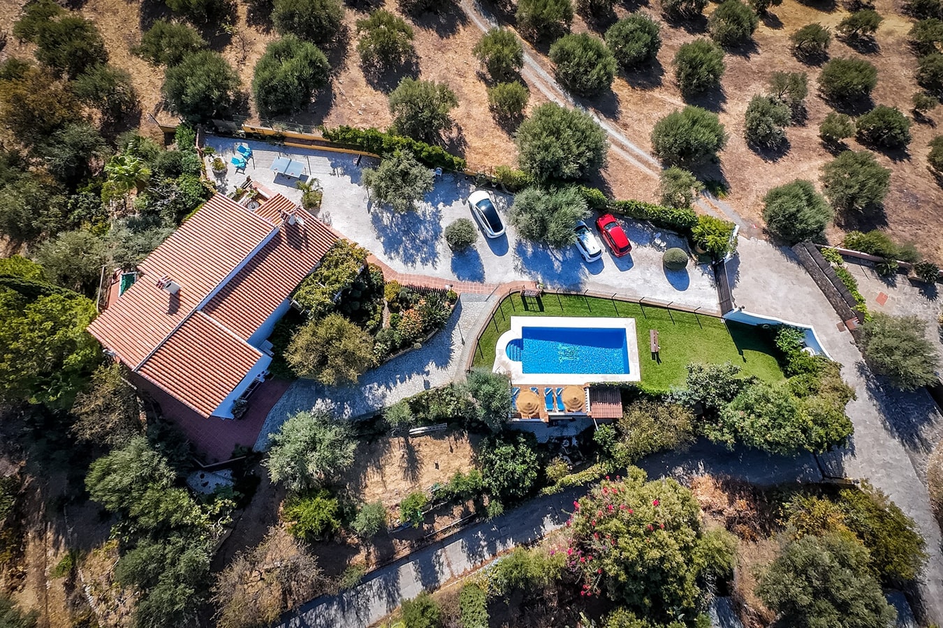  74 LYX homes