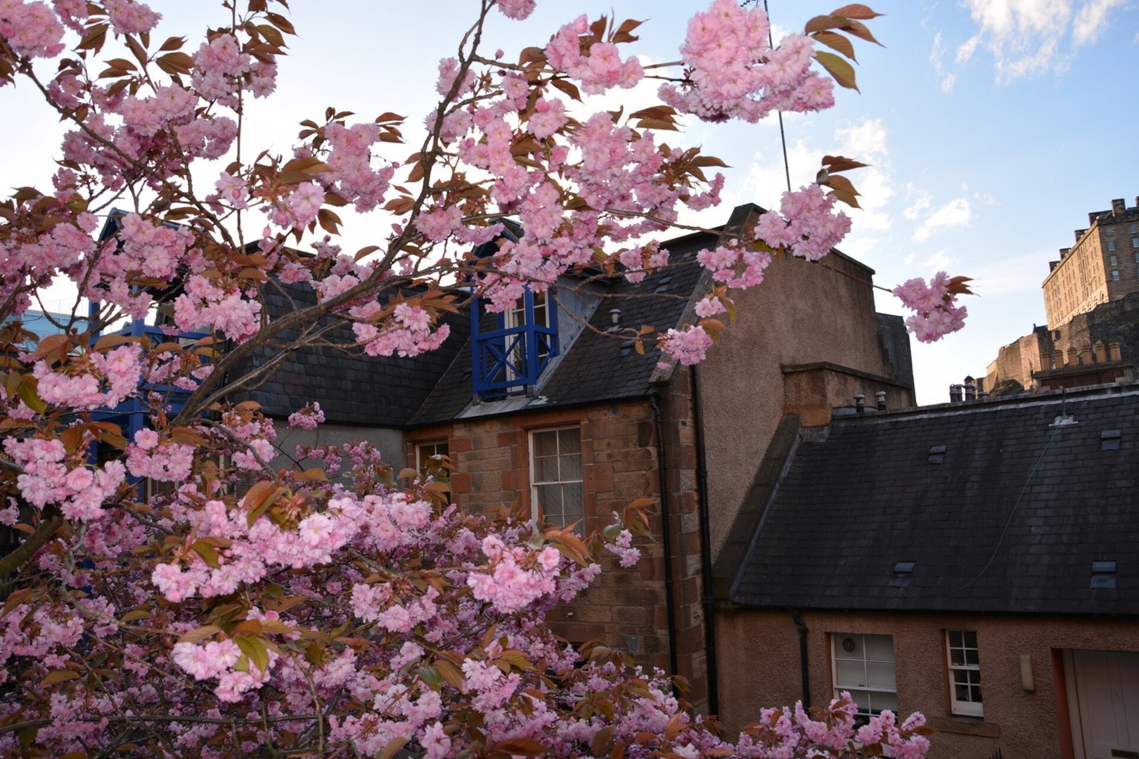 Castleview and Secret Garden Studio 3 Click And Rent