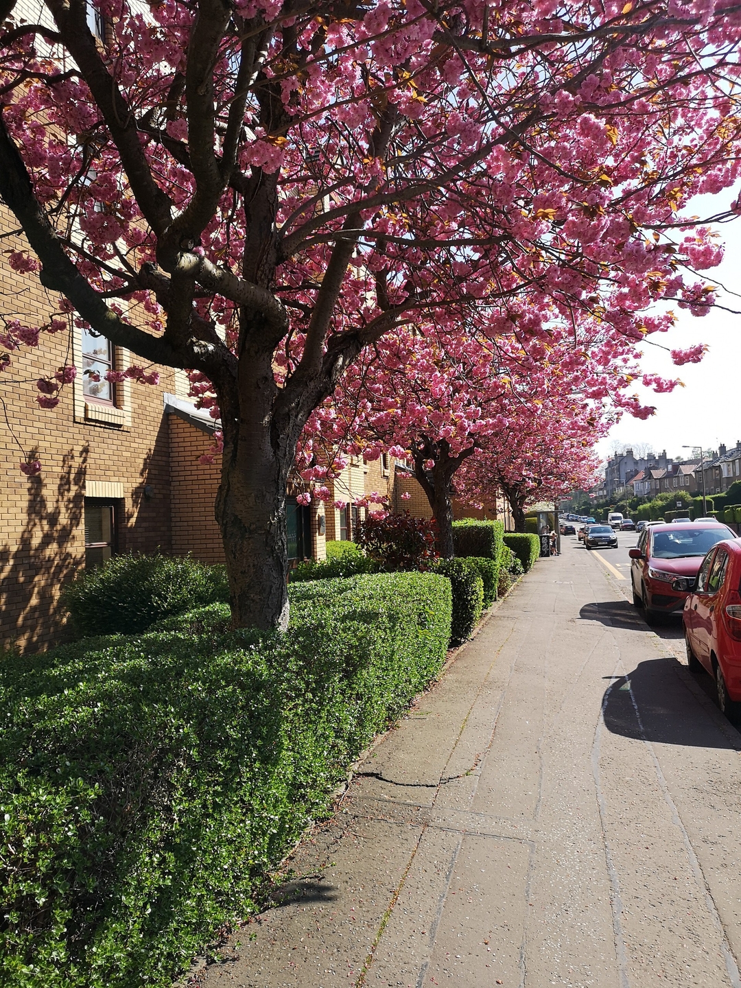 Lovely Edinburgh Home - Craighouse Gardens 8 Click And Rent