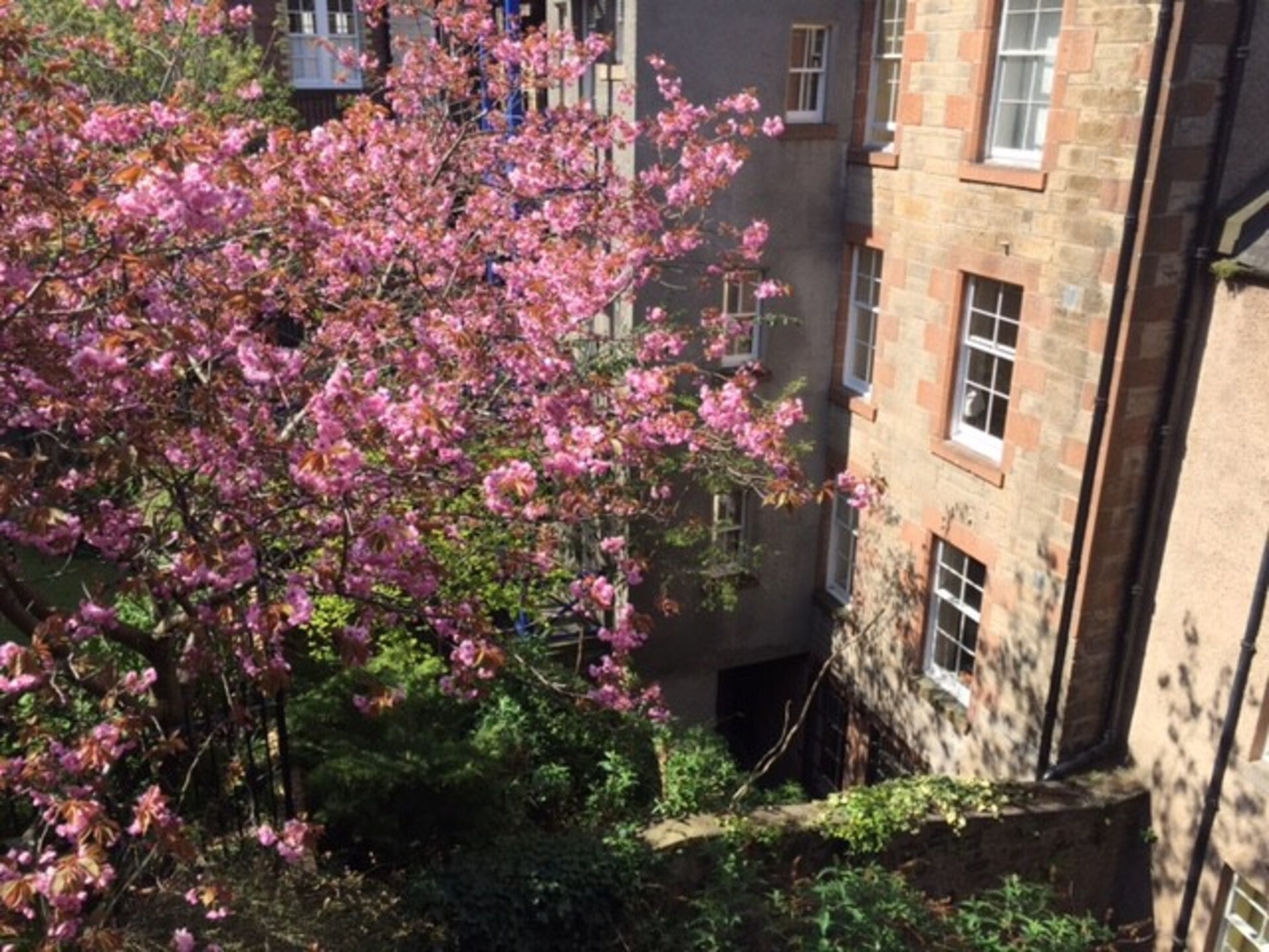 Castleview and Secret Garden Studio 15 Click And Rent
