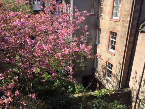 Castleview and Secret Garden Studio 15 Click And Rent