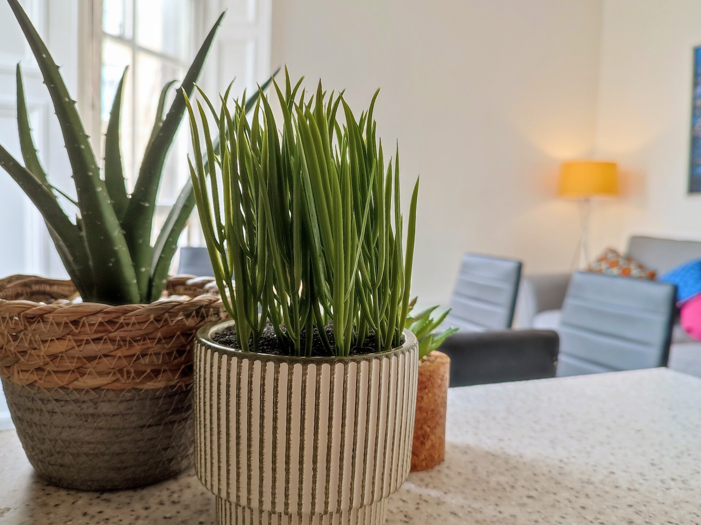 Magic of Meadows 4 Bedroom Spacious Flat 3 Click And Rent