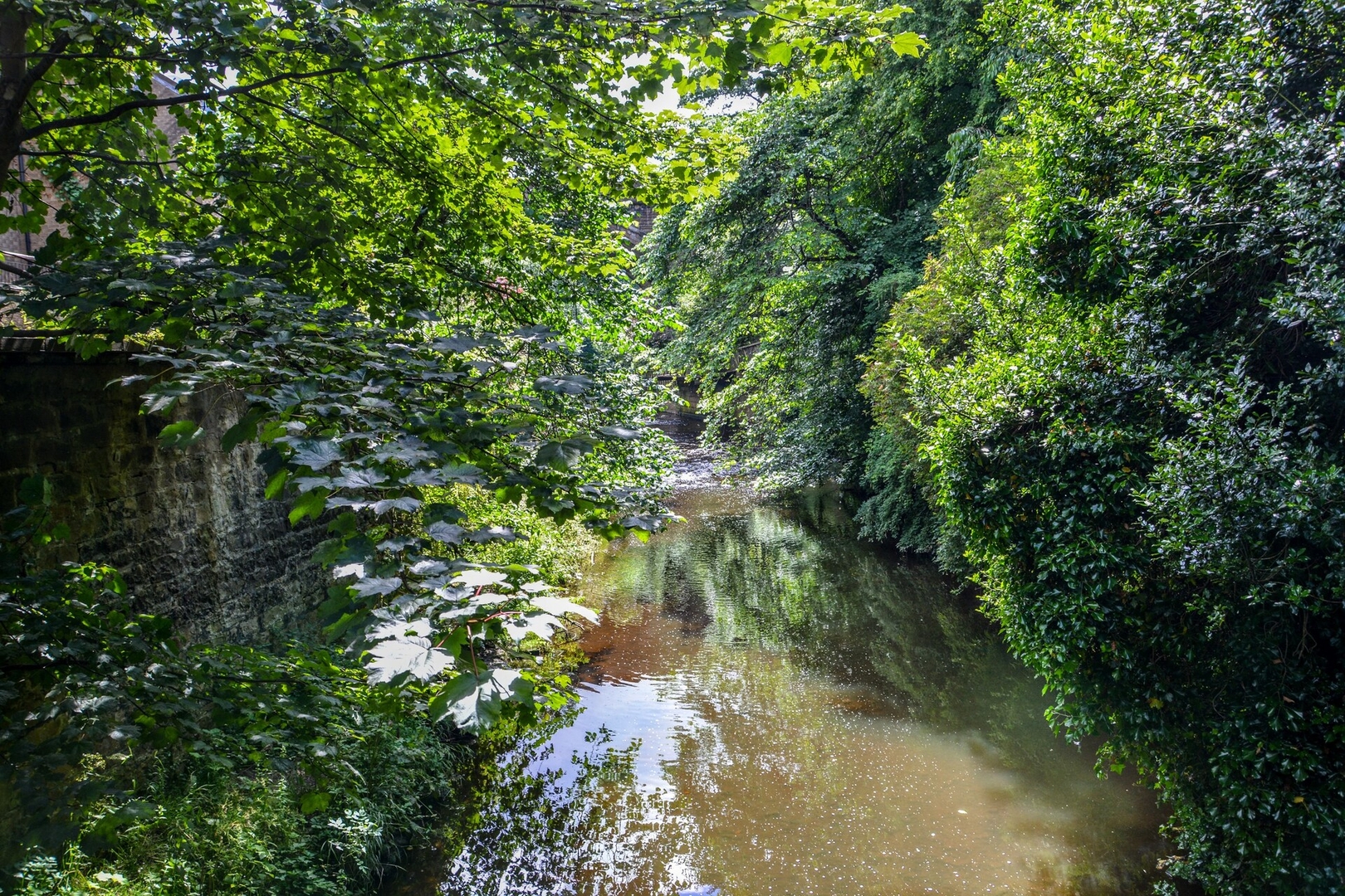 Nature's hidden temptation 8 Click And Rent