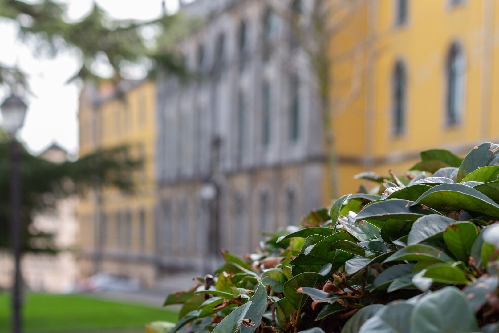 AH Delux3Rooms Campus Milán · VUT-6519-AS 48 Asturias Holidays