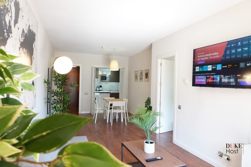 Chamartin Centro Norte Apt.203