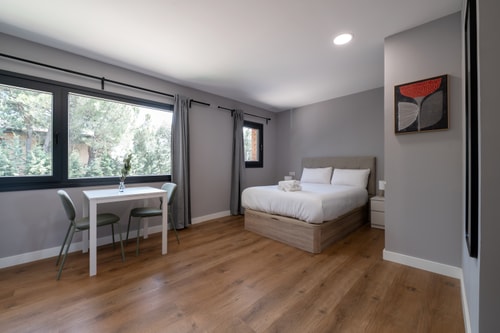 Sierra de Madrid Suites 14
