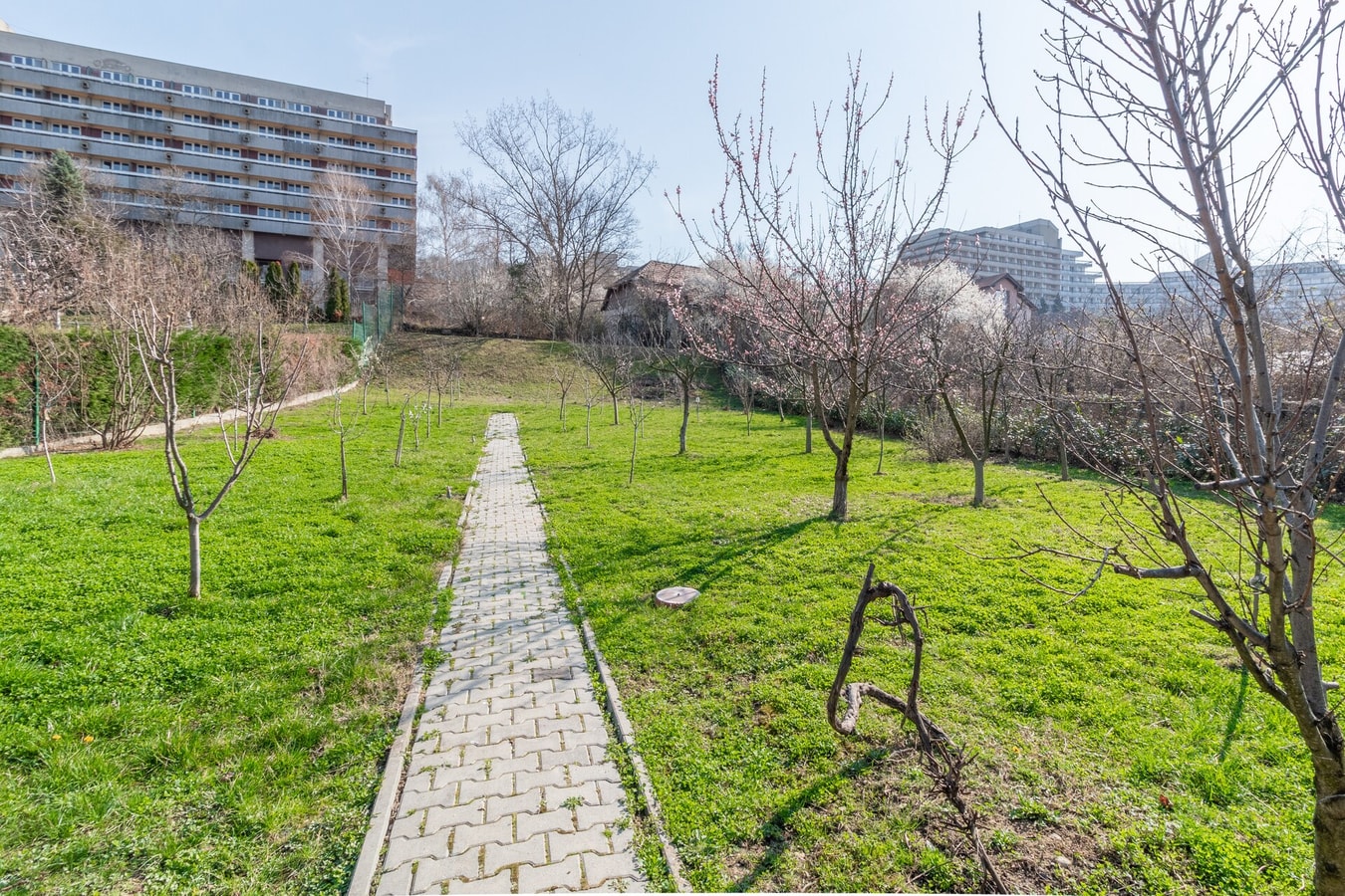 Thermalis Groove One 24 FlatWhite Properties