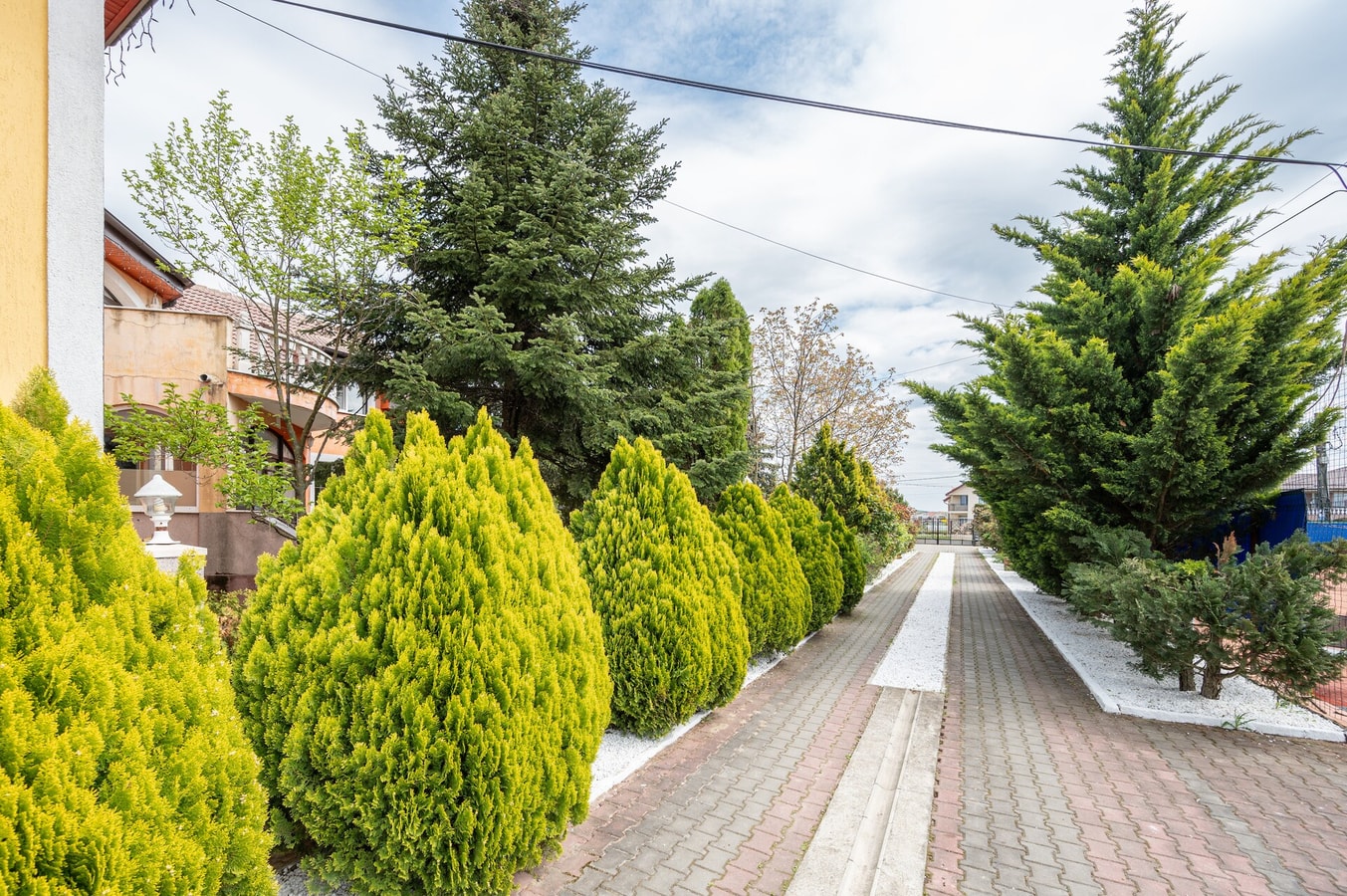 Tei Inn 10 FlatWhite Properties