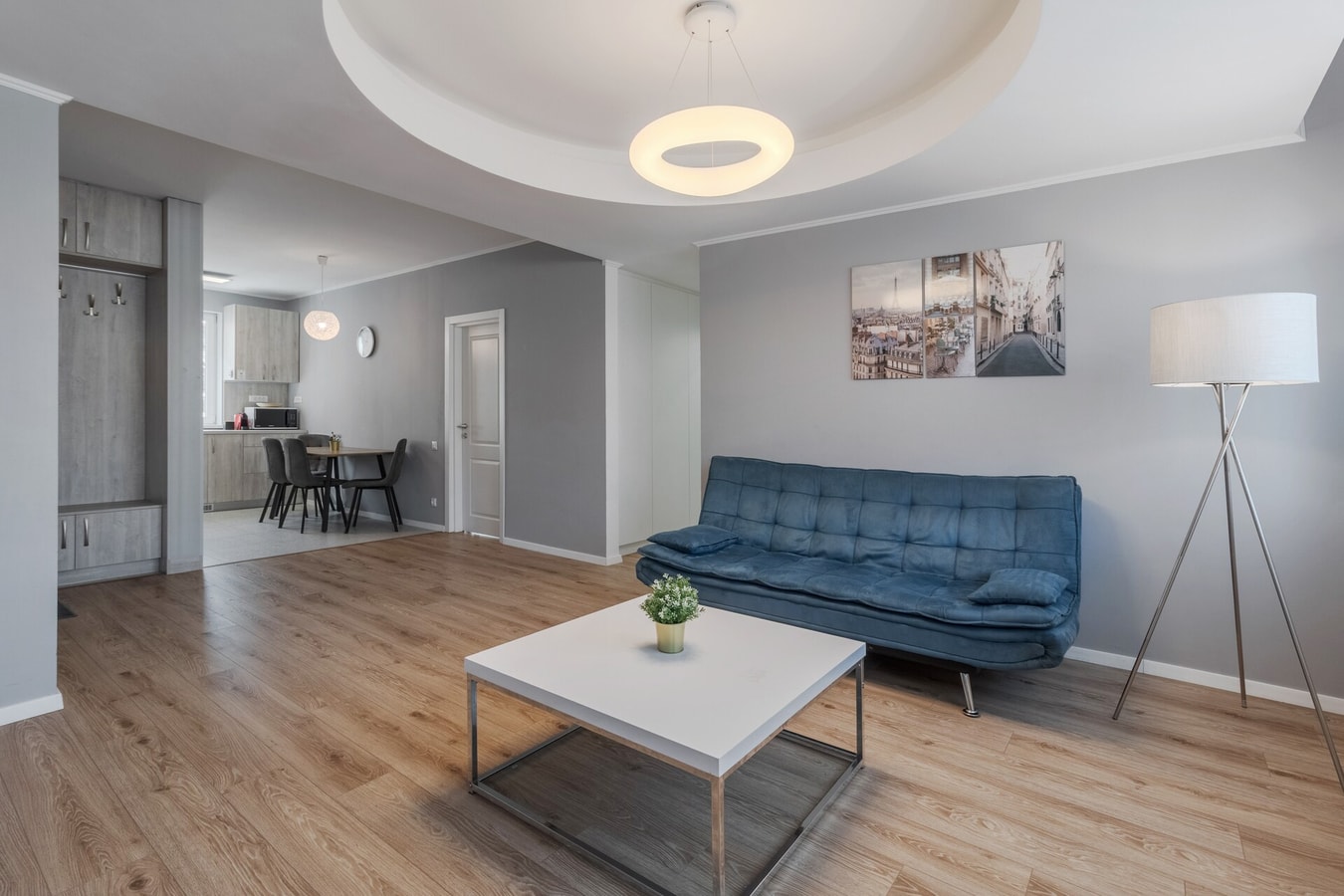 Snagov Flat 9 FlatWhite Properties