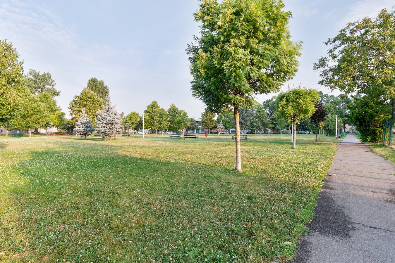 Terrace Flat 18 FlatWhite Properties