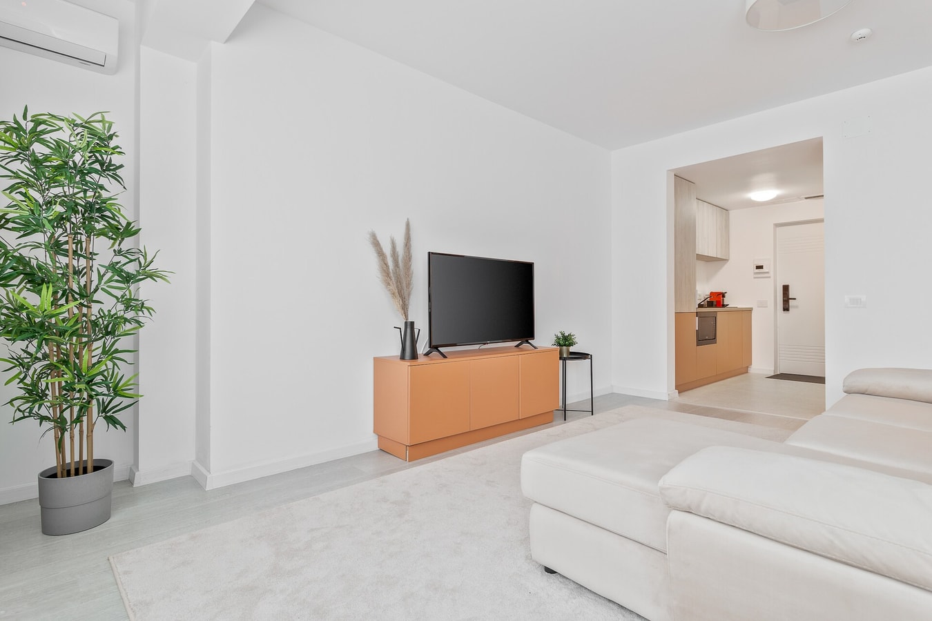 Papaya Studio 6 FlatWhite Properties