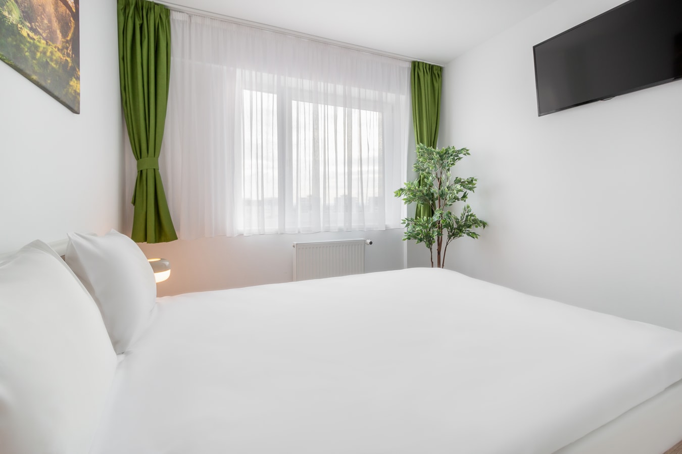 Blue Lake 12 FlatWhite Properties