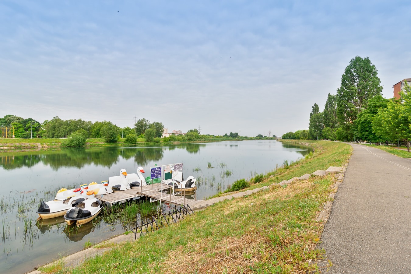 Sovata Studio 11 FlatWhite Properties