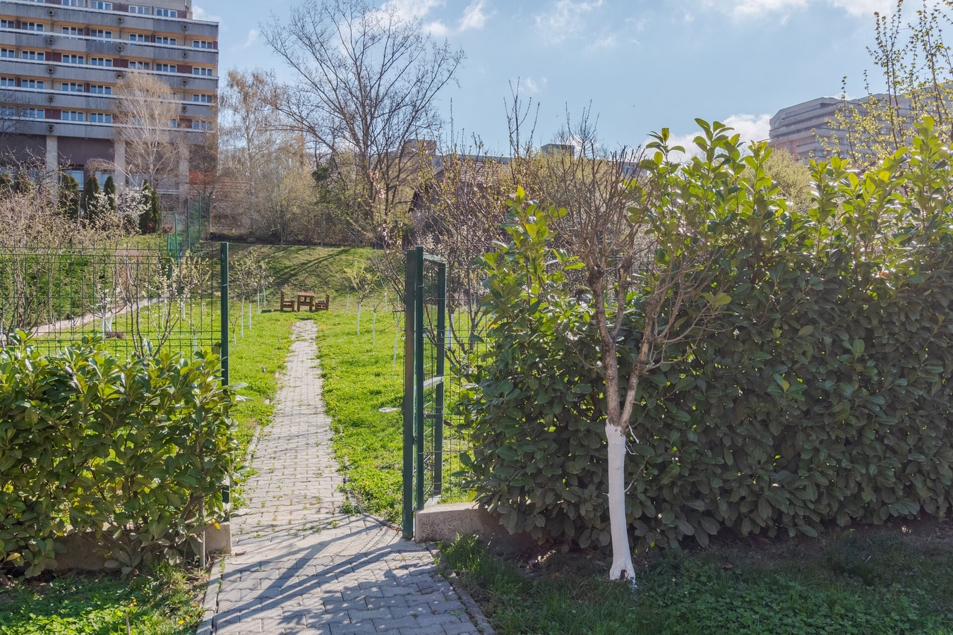 Thermalis House - 5 bedrooms 34 FlatWhite Properties