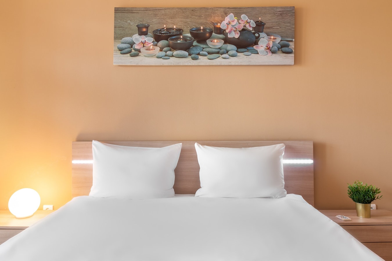 Ared Flat 12 FlatWhite Properties