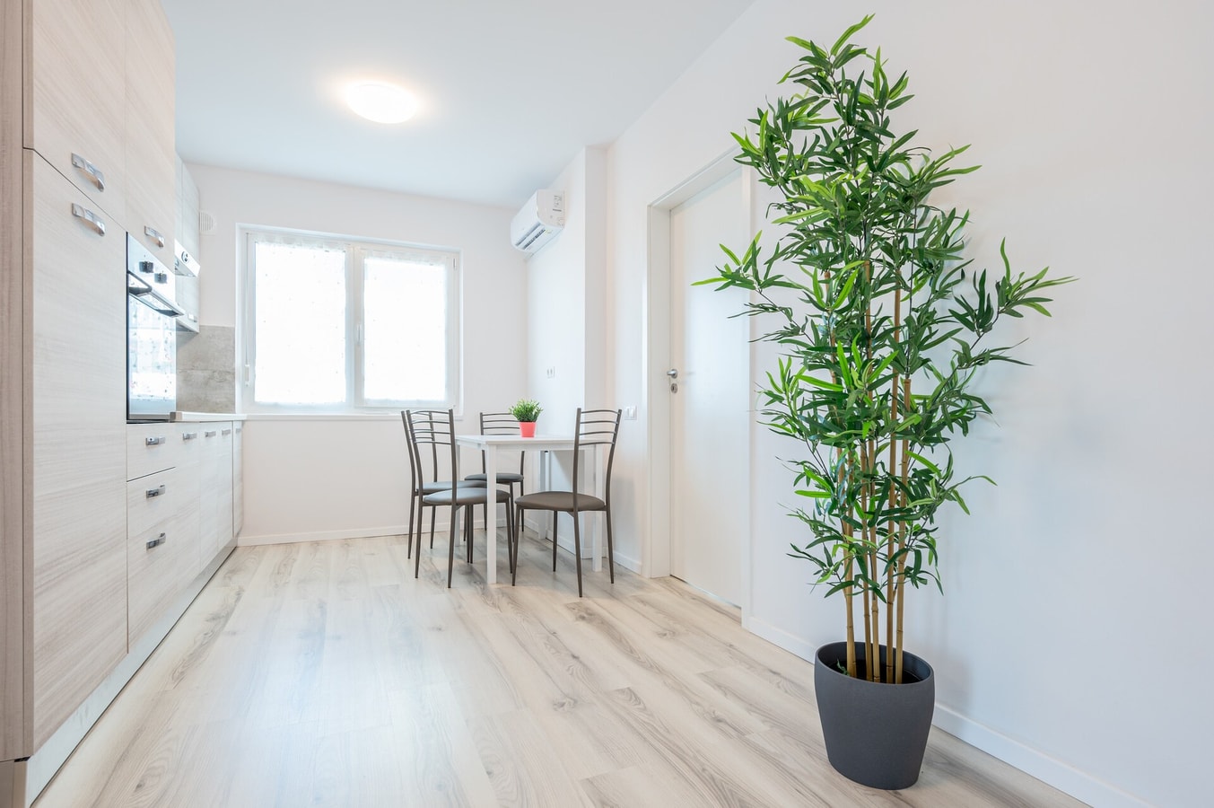 West Flat 10 FlatWhite Properties