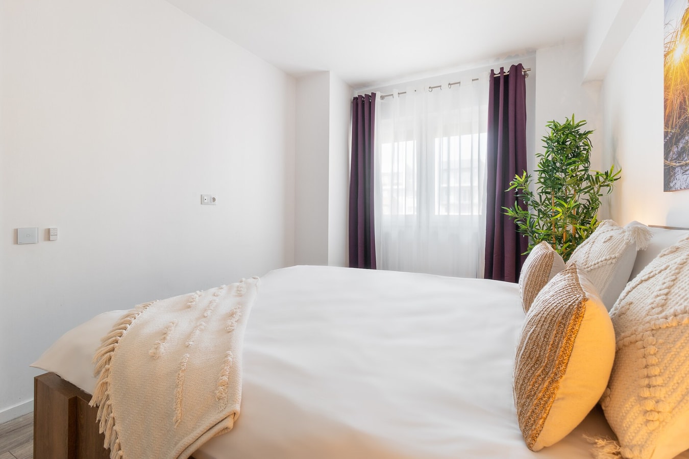 Lotus Flat 9 FlatWhite Properties