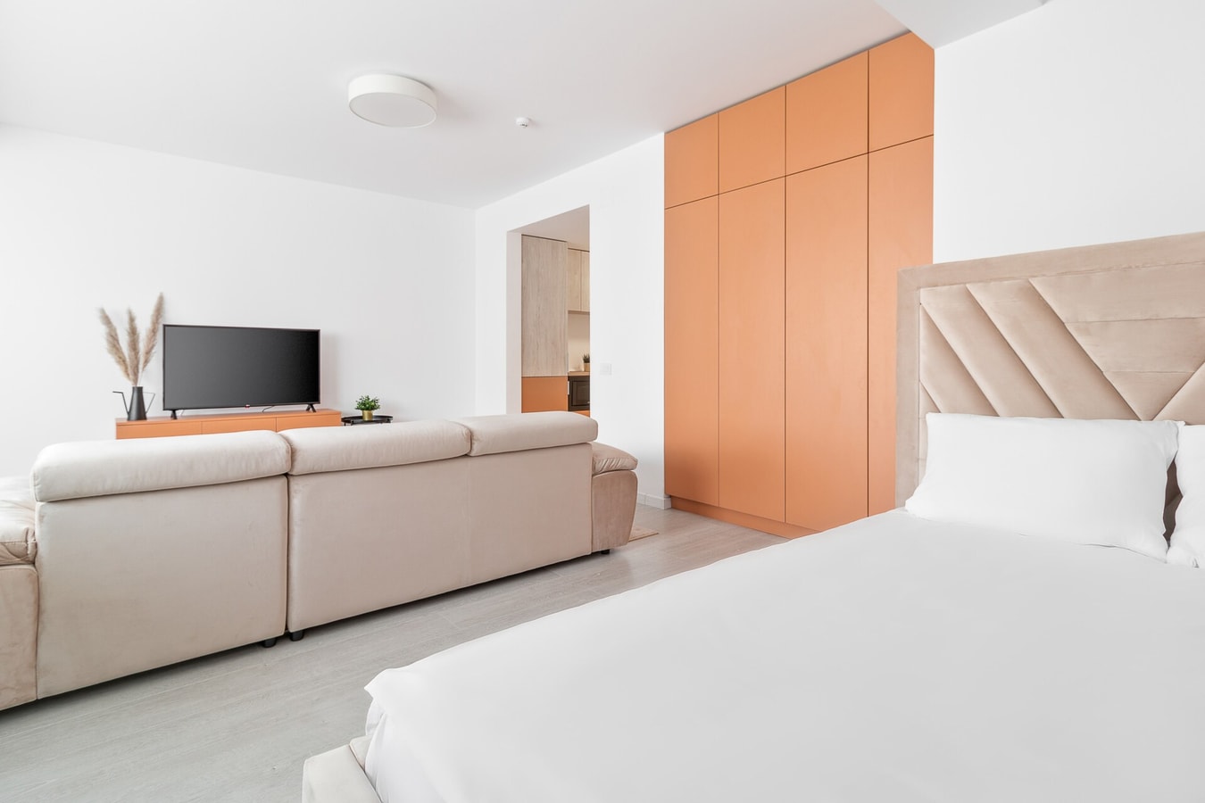 Papaya Studio 9 FlatWhite Properties