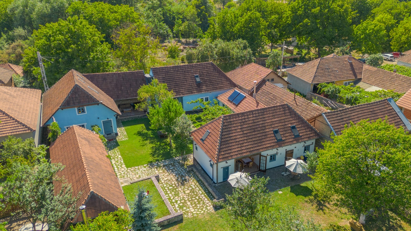 Casa Veche Leheceni (8-Room Country House) 71 FlatWhite Properties