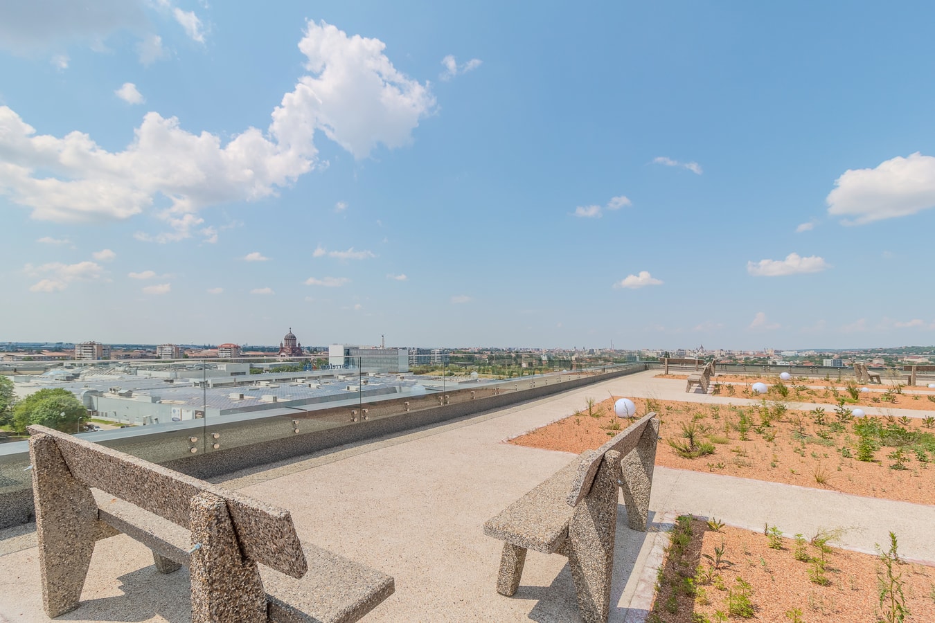 Lumiere Pumpkin 18 FlatWhite Properties