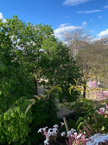 Spacieux Appartement - Lamarck / Montmartre