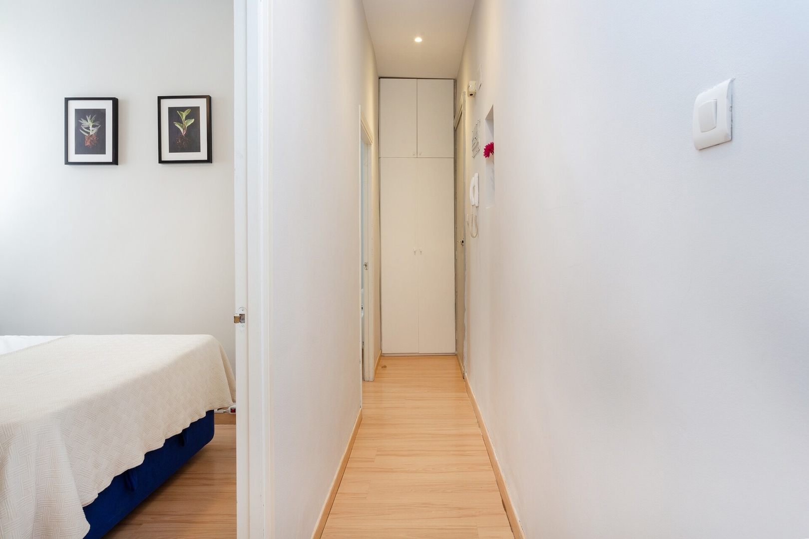 Charming apartment. Central / modern. Amparo 30 Mi casa is your house