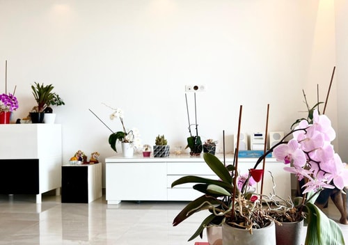 Appt 2 bd-4 pers-Pool wifi Tennis Park-Sea view 39 CapitalChic Conciergerie