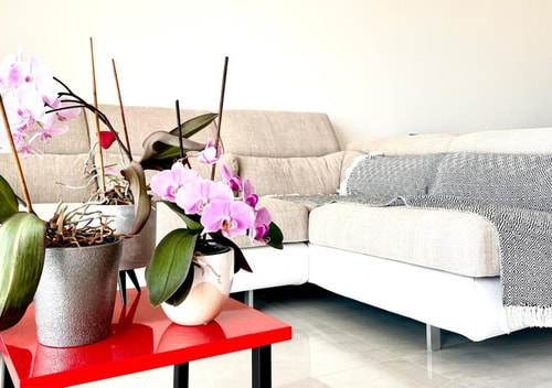 Appt 2 bd-4 pers-Pool wifi Tennis Park-Sea view 36 CapitalChic Conciergerie