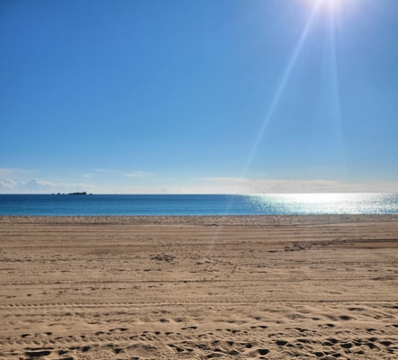 Studio Azur, terrace, parking, 10min from sea 5 CapitalChic Conciergerie
