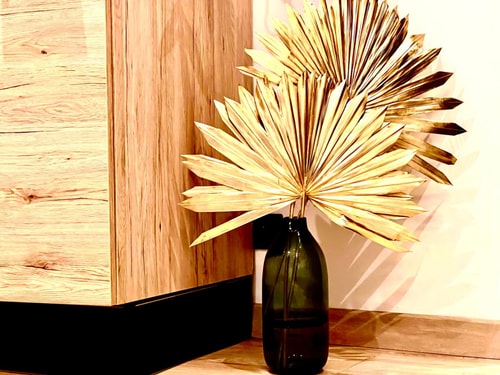 StudioCalifornia-Parking-Plages 15 min walk 11 CapitalChic Conciergerie