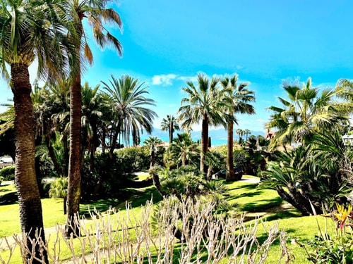 StudioCalifornia-Parking-Plages 15 min walk 29 CapitalChic Conciergerie
