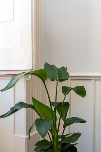 Baixa Central @Cozy apartment in the best location 22 Hansi Home