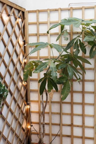 Figueira Garden@ Cozy apartment in the centre 22 Hansi Home