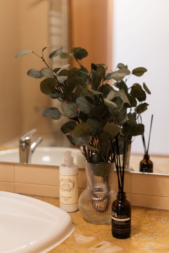 Expo Boutique@ Free Parking/ Balcony/ Lift/ AC 16 Hansi Home