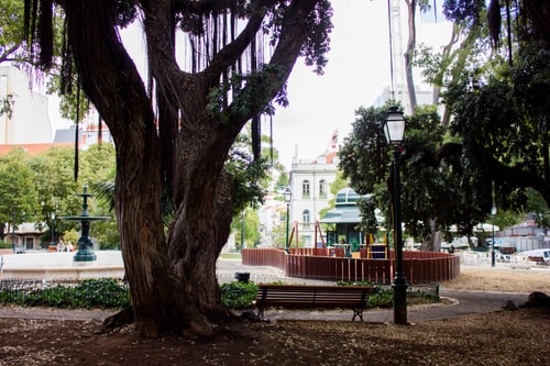 Glories Avenue@ luxurious apartment with terrace 33 Hansi Home